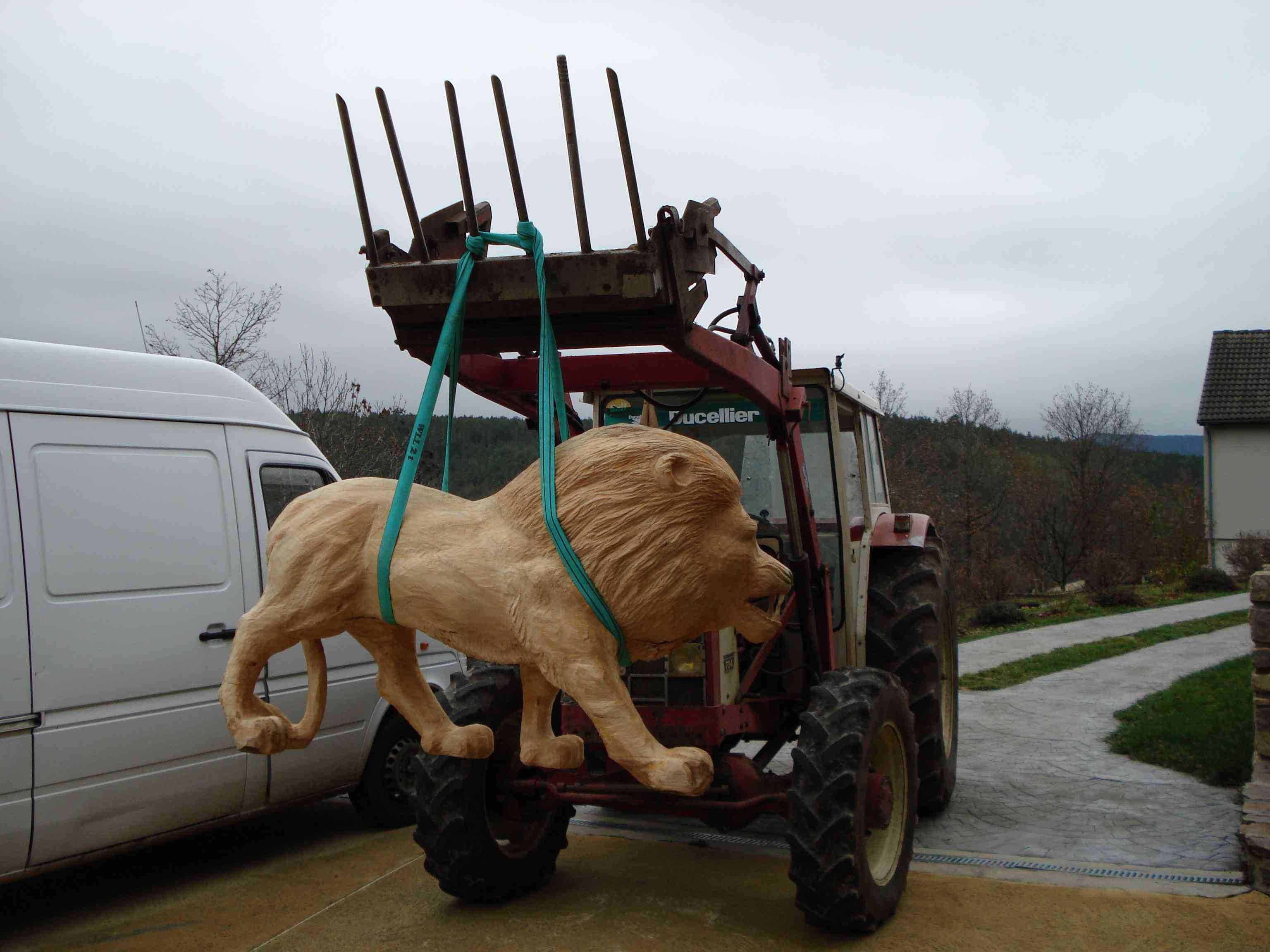 Lion